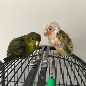 Meet your Posher, Katlyn